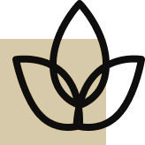 Servicios Personalizados