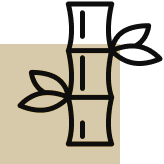 Servicios Personalizados